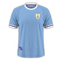 Uruguay Replica Home Shirt Copa America 2024 Short Sleeve
